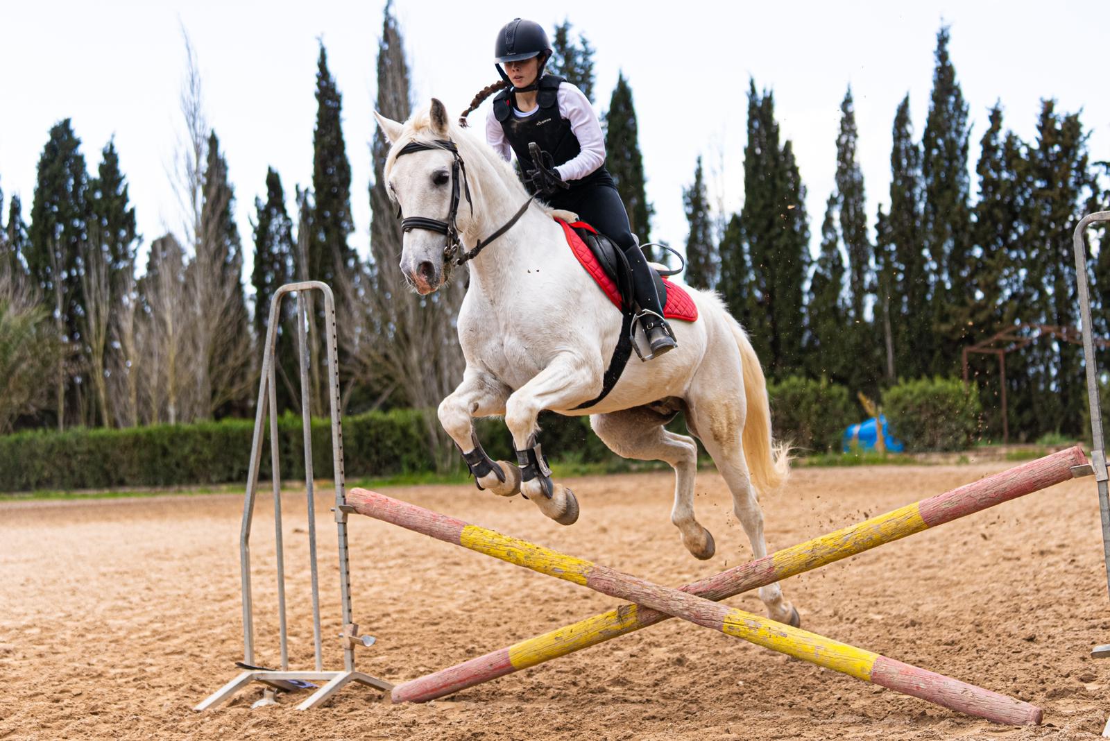 Programa de Salto